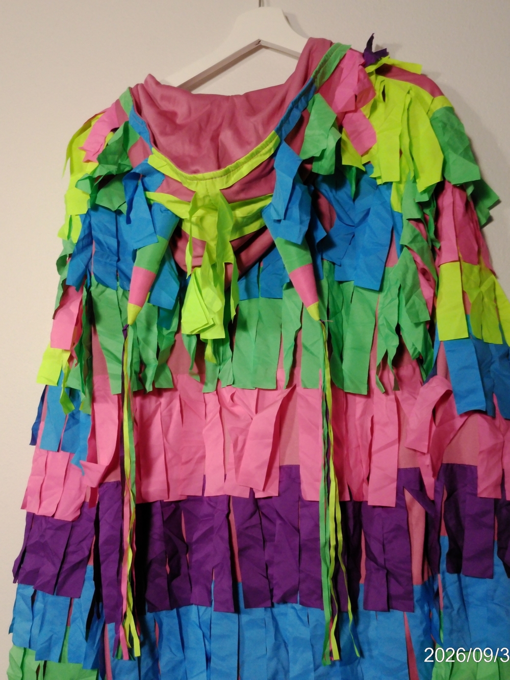 Men's Multicolor Fringe Halloween Costume — Pink, Green, Blue, Purple